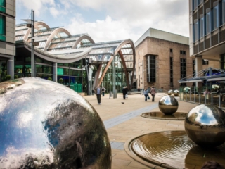 winter gardens