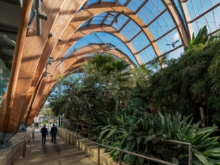 winter gardens