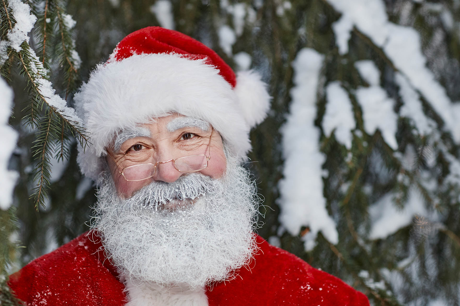 Father Christmas Portrait